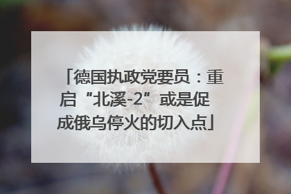 德国执政党要员：重启“北溪-2”或是促成俄乌停火的切入点