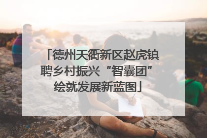 德州天衢新区赵虎镇聘乡村振兴“智囊团” 绘就发展新蓝图
