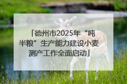 德州市2025年“吨半粮”生产能力建设小麦测产工作全面启动