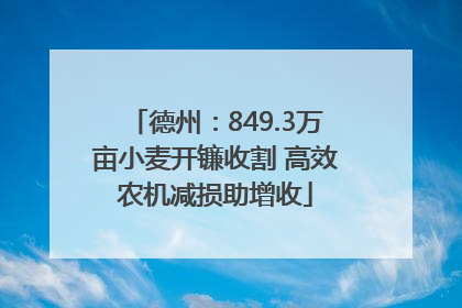 德州：849.3万亩小麦开镰收割 高效农机减损助增收