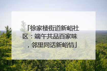 徐家楼街道新峪社区：端午共品百家味，邻里同话新峪情