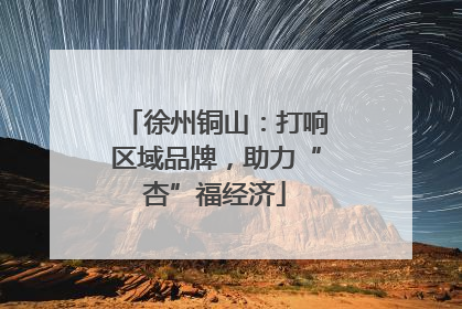 徐州铜山：打响区域品牌，助力“杏”福经济