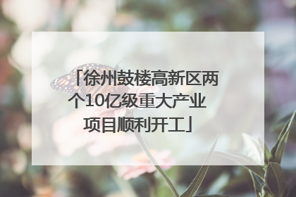 徐州鼓楼高新区两个10亿级重大产业项目顺利开工