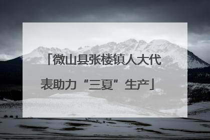 微山县张楼镇人大代表助力“三夏”生产