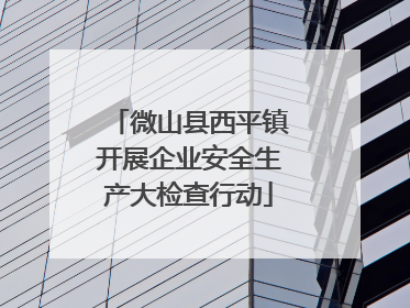 微山县西平镇开展企业安全生产大检查行动
