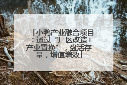 小鸭产业融合项目：通过“厂区改造+产业置换”，盘活存量，增值增效