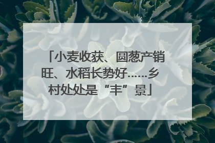 小麦收获、圆葱产销旺、水稻长势好……乡村处处是“丰”景