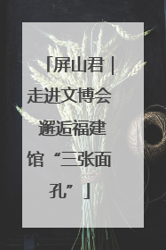 屏山君｜走进文博会 邂逅福建馆“三张面孔”