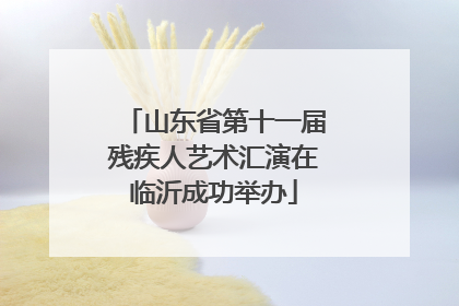 山东省第十一届残疾人艺术汇演在临沂成功举办