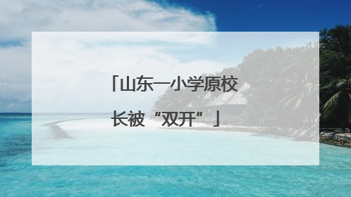 山东一小学原校长被“双开”