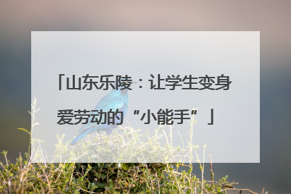 山东乐陵：让学生变身爱劳动的“小能手”