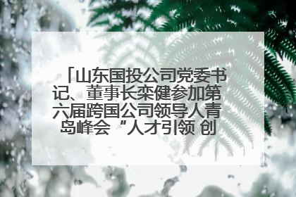 山东国投公司党委书记、董事长栾健参加第六届跨国公司领导人青岛峰会“人才引领 创新驱动”人力资源高质量发展对话会