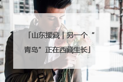 山东援藏｜另一个“青岛”正在西藏生长