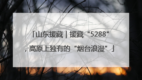 山东援藏｜援藏“5288”，高原上独有的“烟台浪漫”