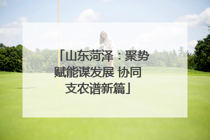 山东菏泽：聚势赋能谋发展 协同支农谱新篇
