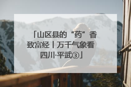 山区县的“药”香致富经丨万千气象看四川·平武③