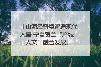 山海经奇境邂逅现代人居 宁夏贺兰“产城人文”融合发展