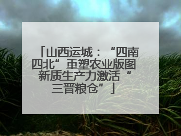 山西运城：“四南四北”重塑农业版图 新质生产力激活“三晋粮仓”