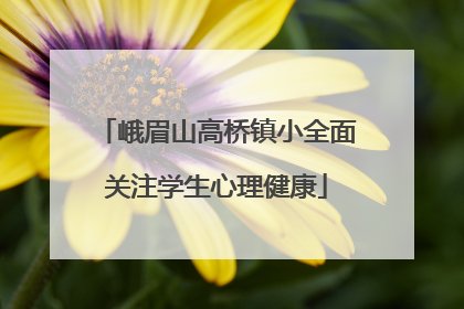 峨眉山高桥镇小全面关注学生心理健康