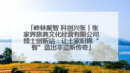 峰林聚智 科创兴张丨张家界旅典文化经营有限公司博士创新站：让土家织锦“智”造出非遗新传奇