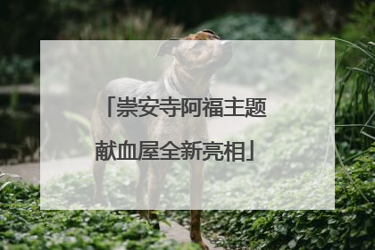 崇安寺阿福主题献血屋全新亮相