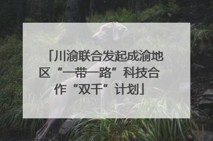 川渝联合发起成渝地区“一带一路”科技合作“双千”计划