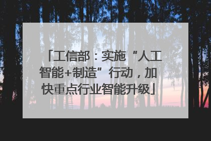 工信部：实施“人工智能+制造”行动，加快重点行业智能升级
