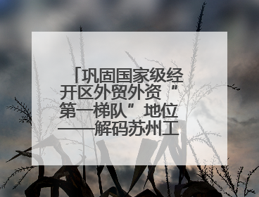 巩固国家级经开区外贸外资“第一梯队”地位——解码苏州工业园区样本