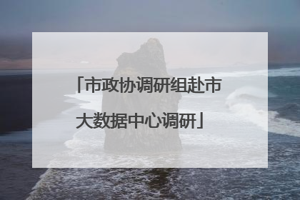 市政协调研组赴市大数据中心调研