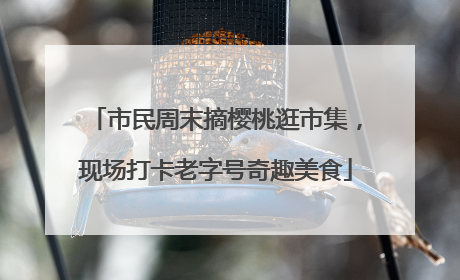 市民周末摘樱桃逛市集，现场打卡老字号奇趣美食