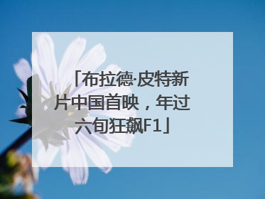 布拉德·皮特新片中国首映，年过六旬狂飙F1