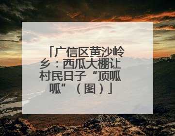 广信区黄沙岭乡：西瓜大棚让村民日子“顶呱呱”（图）