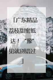 广东精品荔枝甜蜜抵达！“豫”见就别错过