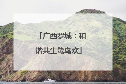 广西罗城：和谐共生鹭鸟欢