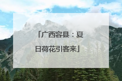 广西容县：夏日荷花引客来