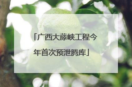 广西大藤峡工程今年首次预泄腾库