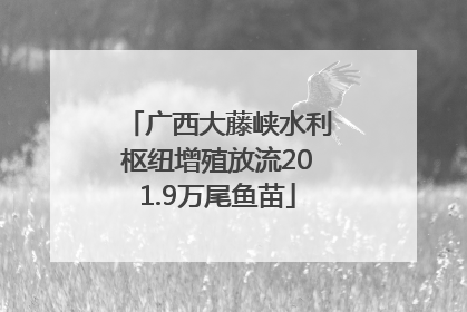 广西大藤峡水利枢纽增殖放流201.9万尾鱼苗