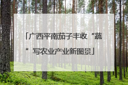 广西平南茄子丰收“蔬”写农业产业新图景