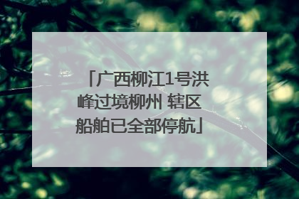 广西柳江1号洪峰过境柳州 辖区船舶已全部停航