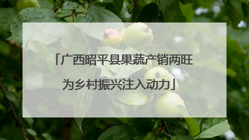 广西昭平县果蔬产销两旺 为乡村振兴注入动力