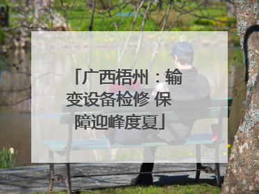 广西梧州：输变设备检修 保障迎峰度夏