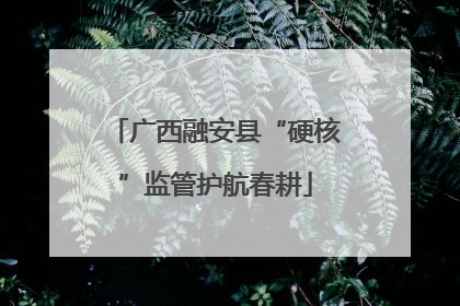 广西融安县“硬核”监管护航春耕