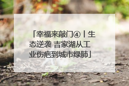 幸福来敲门④丨生态逆袭 吉家湖从工业伤疤到城市绿肺