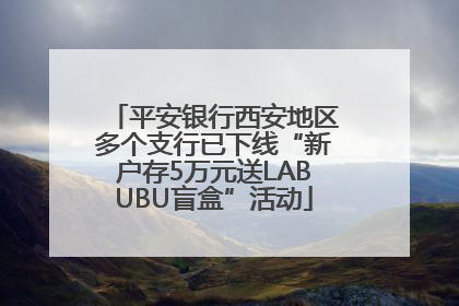 平安银行西安地区多个支行已下线“新户存5万元送LABUBU盲盒”活动