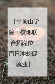 平顶山学院：校地联合拓岗位 百日冲刺促就业