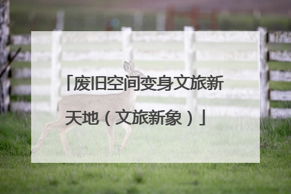 废旧空间变身文旅新天地（文旅新象）