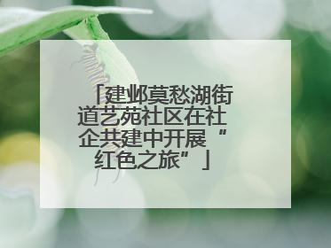 建邺莫愁湖街道艺苑社区在社企共建中开展“红色之旅”