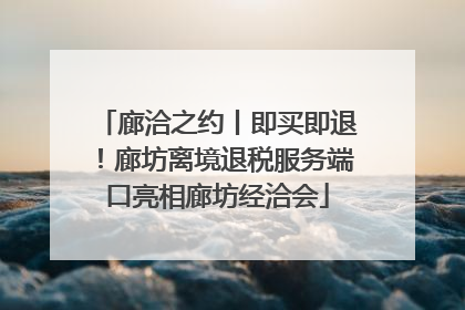 廊洽之约丨即买即退！廊坊离境退税服务端口亮相廊坊经洽会
