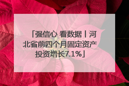 强信心 看数据丨河北省前四个月固定资产投资增长7.1%