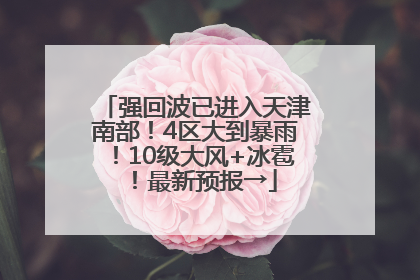 强回波已进入天津南部！4区大到暴雨！10级大风+冰雹！最新预报→